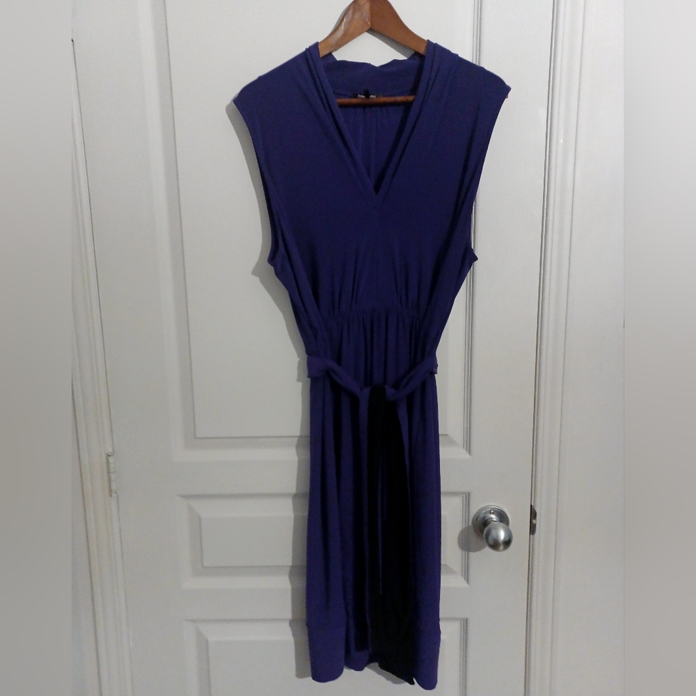 Deep Purple Dress